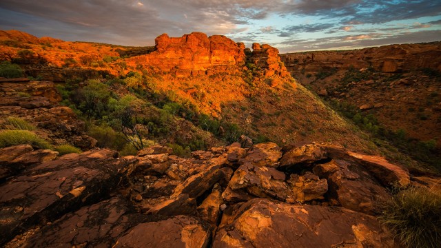 Photo by Philippe Wuyts via unsplash.com