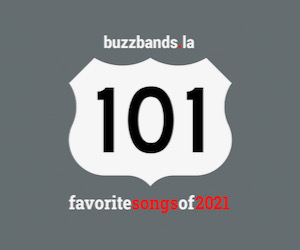 Buzz Bands 101